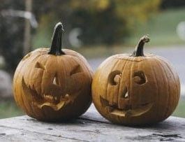 zucca